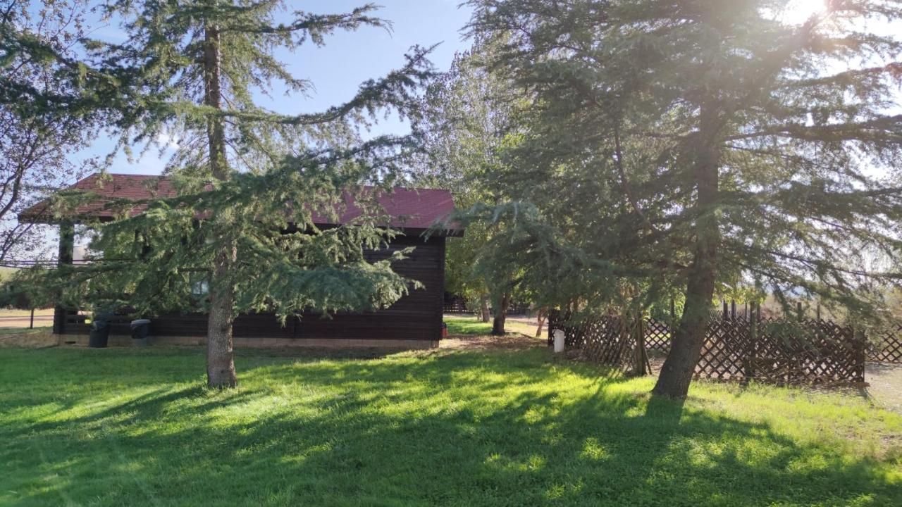Casas Rurales Tabla Honda El Robledo  Eksteriør billede