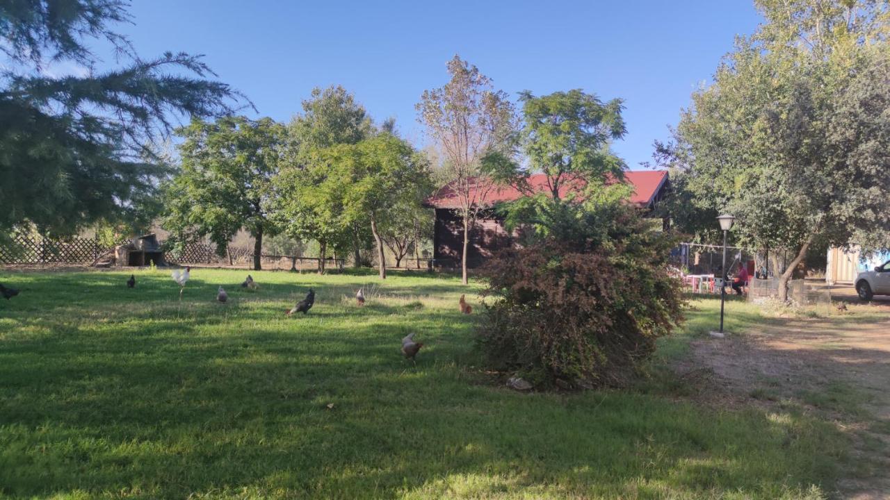 Casas Rurales Tabla Honda El Robledo  Eksteriør billede