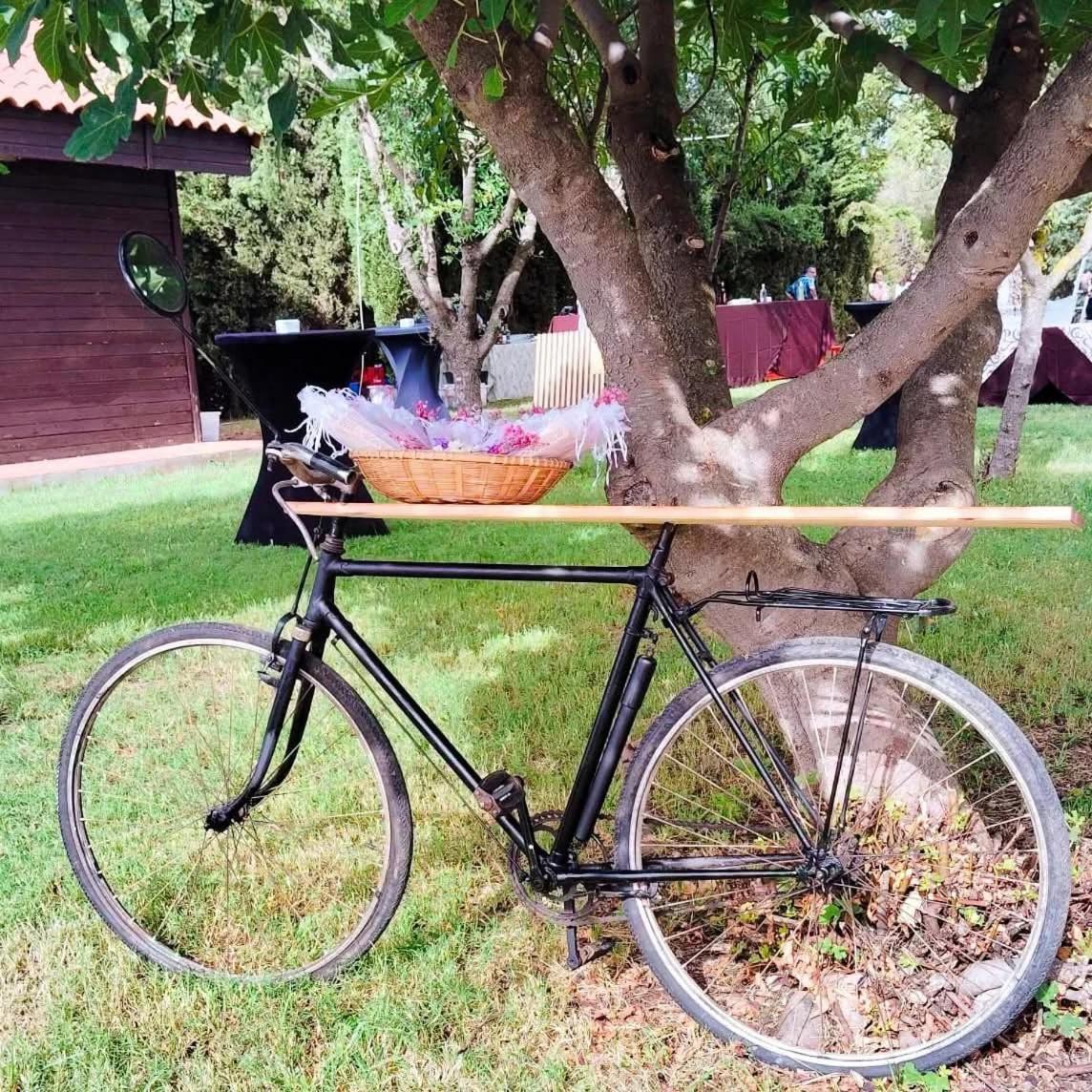 Casas Rurales Tabla Honda El Robledo  Eksteriør billede